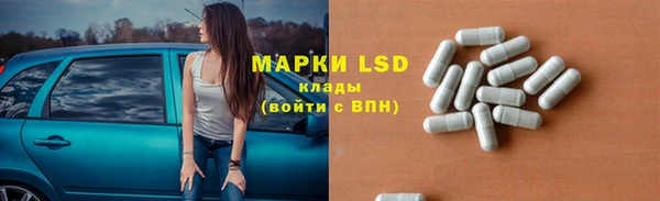 ПСИЛОЦИБИНОВЫЕ ГРИБЫ Алексеевка