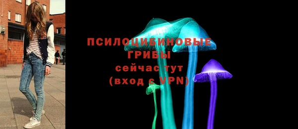 герыч Алексин