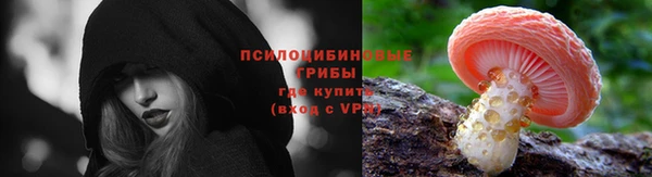 ПСИЛОЦИБИНОВЫЕ ГРИБЫ Алексеевка
