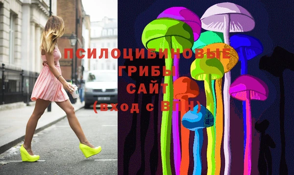 МДПВ Алзамай