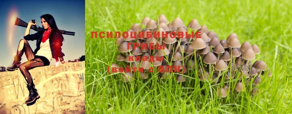 МДПВ Алзамай