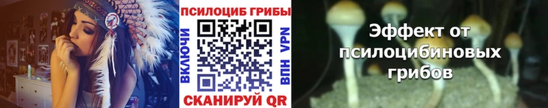 Псилоцибиновые грибы MAGIC MUSHROOMS  hydra ССЫЛКА  Глазов 