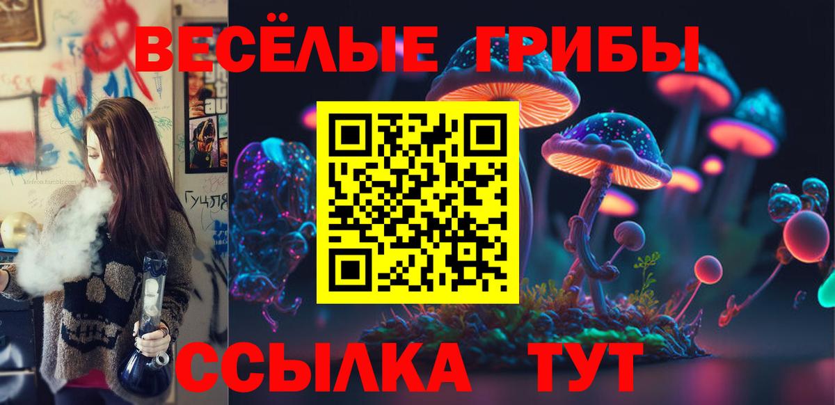 Глазов  купить наркотики сайты  Галлюциногенные грибы ЛСД  Вход с VPN  Галлюциногенные грибы MAGIC MUSHROOMS 